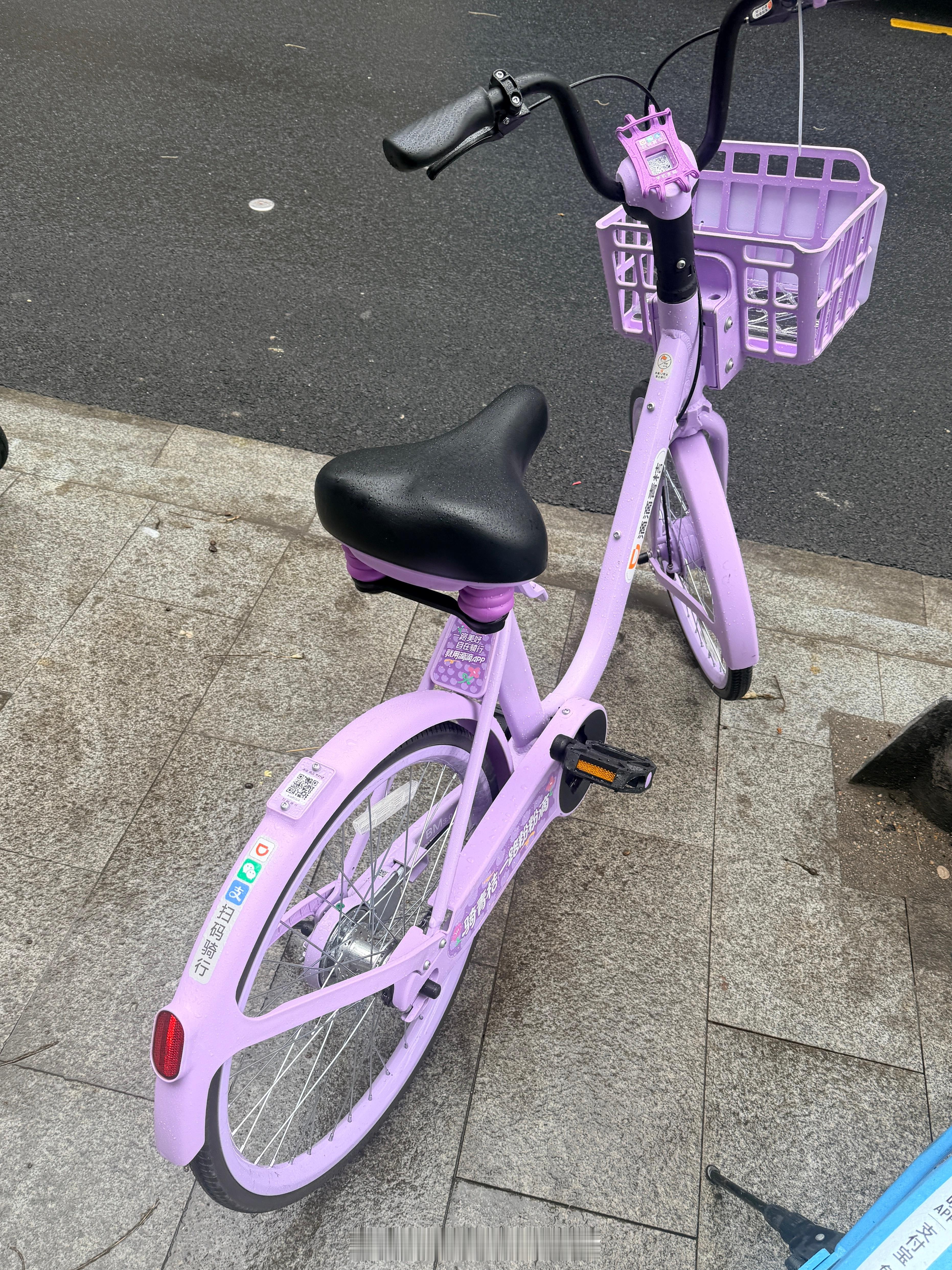 你家的车真好看