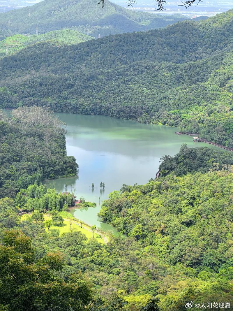 端午旅途见微博旅行ing秦岭北麓夏日已全然铺开绿意，鄠邑区圭峰山群峰连绵俊秀，满