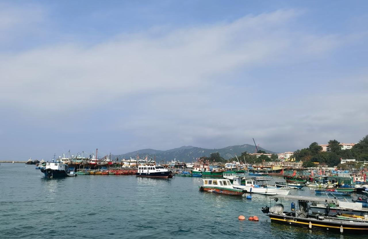 刘强东巨资杀入游艇业，将制造到运营闭环引入大湾区深圳珠海，我以为强东的直觉和前瞻