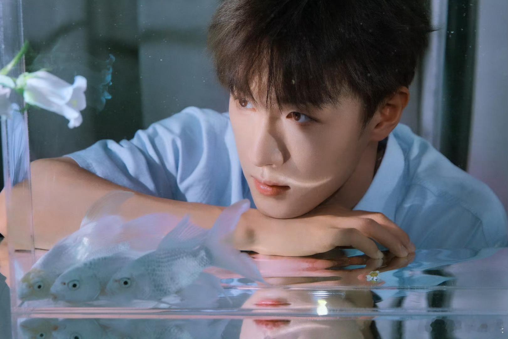李昀锐初夏清凉look李昀锐鱼缸大片李昀锐初夏清凉look，清爽，🤩🤩