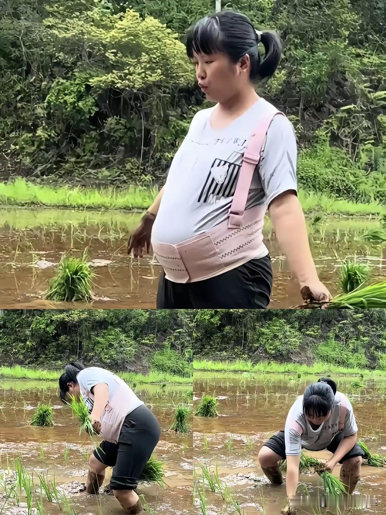 湖南怀化这事儿，看得我心里直发毛。八个月身孕，挺着大肚子赤脚踩进泥田插秧，这画面