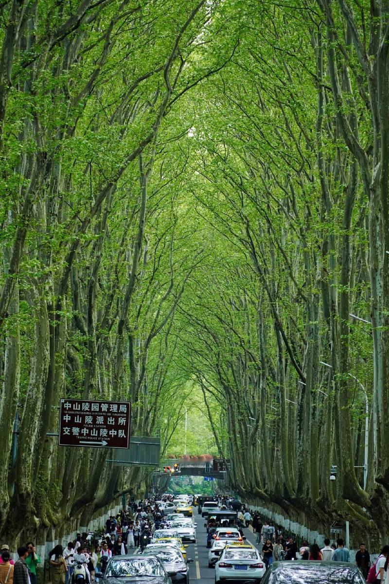 我不是基本盘我也不是洋胎盘我只是希望大家都能过上被承诺的日子，而不是被找各种