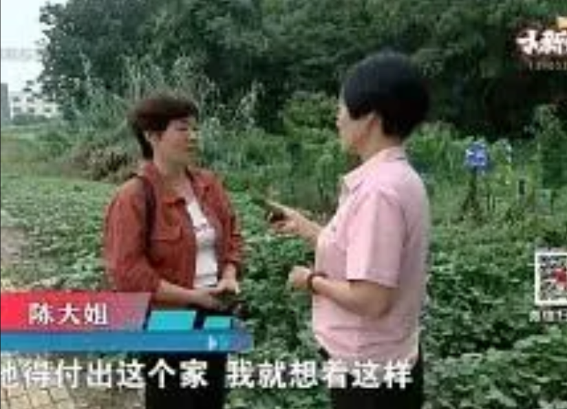 哎哟这事儿闹得！浙江嘉兴一陈女士，发现老公不对劲，疑心他在外头偷腥。老娘气不过