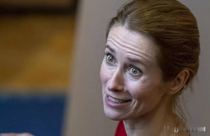 爱沙尼亚总理卡拉斯对着德国《世界报》放话，称格陵兰的主权属于当地民众，要是有人担