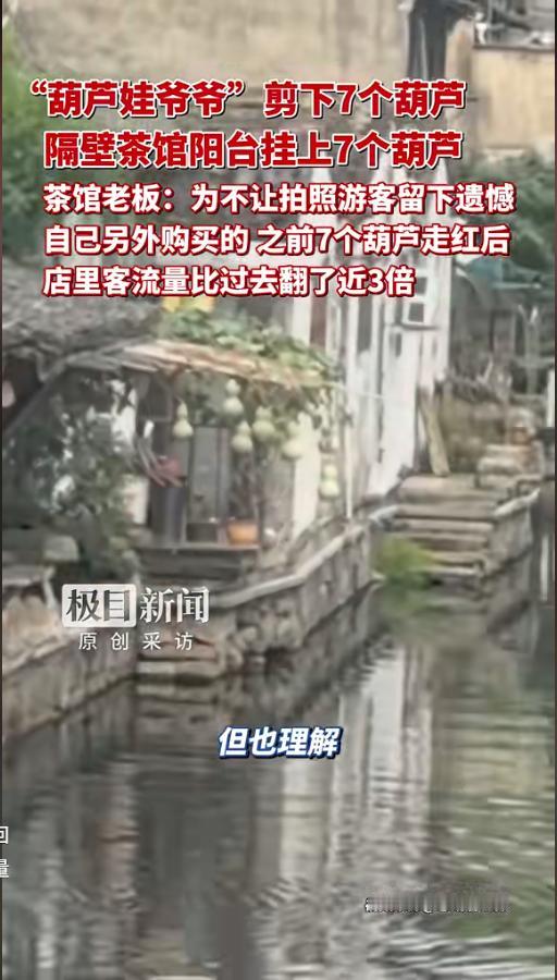 “七只葫芦娃”遭修剪之后邻居火速救场，“葫芦娃爷爷”隔壁窗台挂上七个葫芦，店
