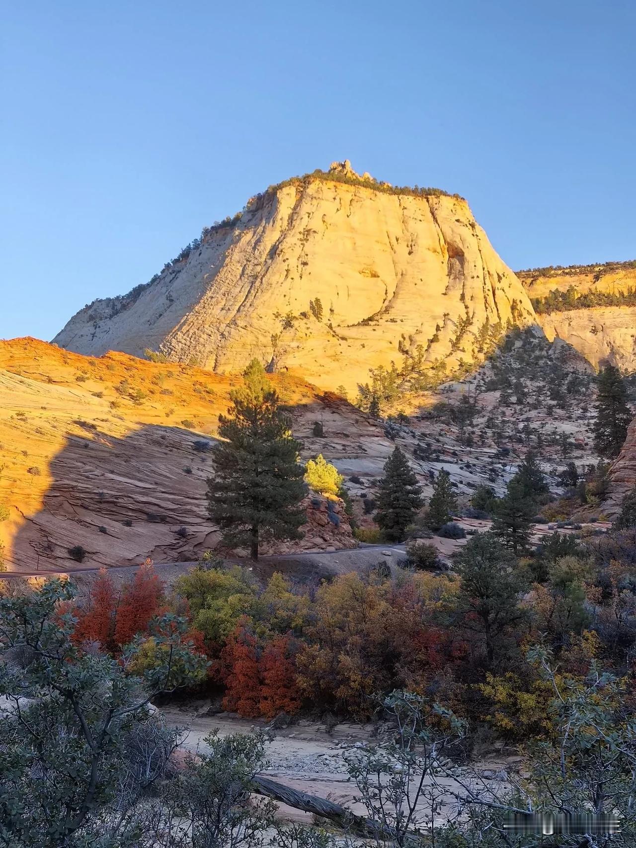 日落时分的景致不一样的美！～于10月中犹他州ZionNationalPark