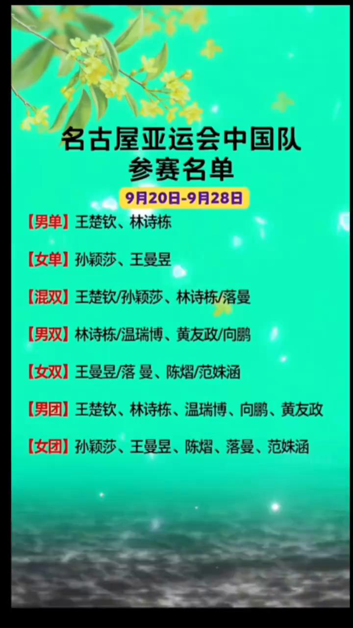 名古屋亚运会中国队参赛名单。9月20日-9月28日。·男单：王楚钦、林诗栋。