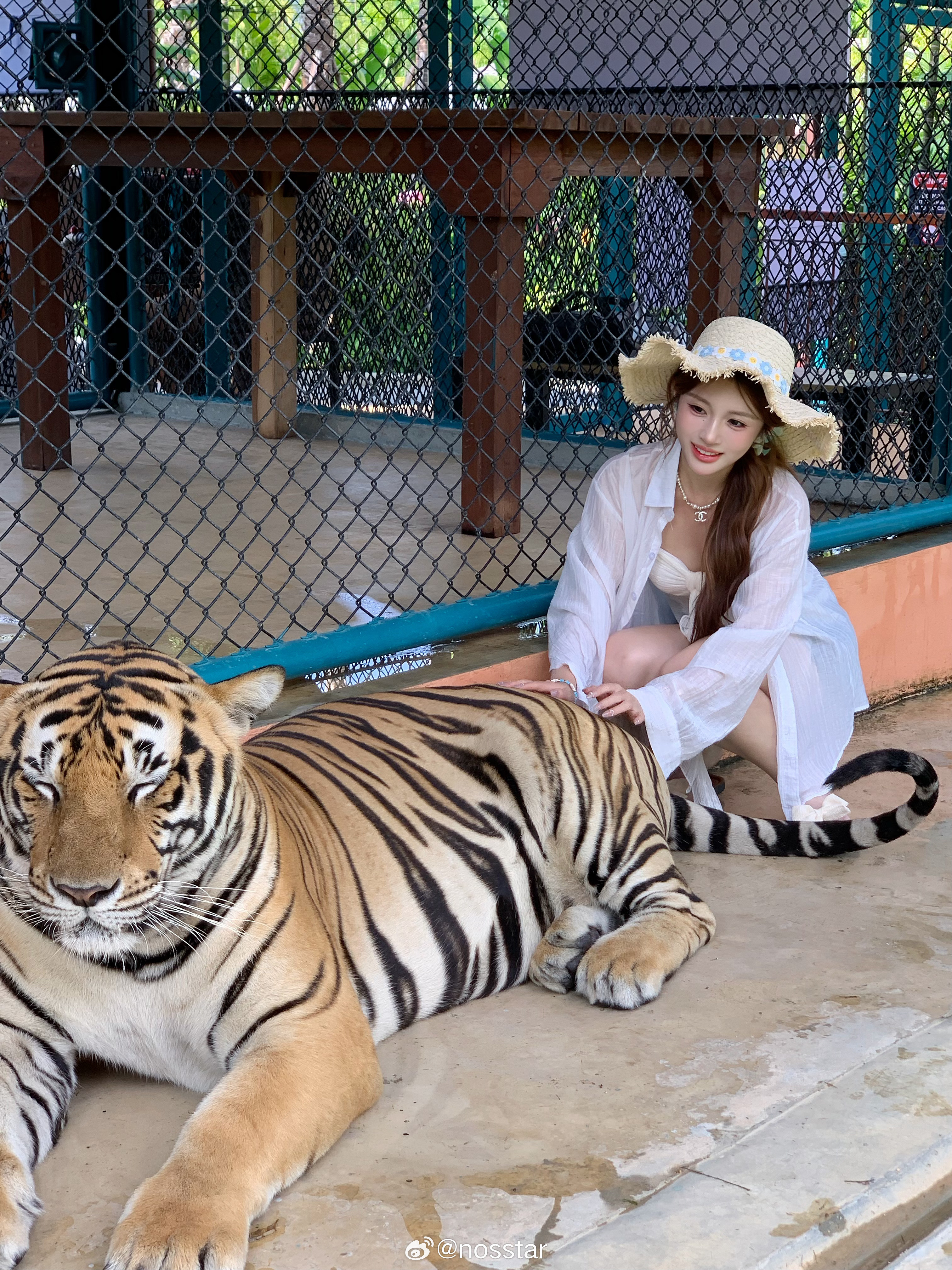 普吉泰国·普吉岛