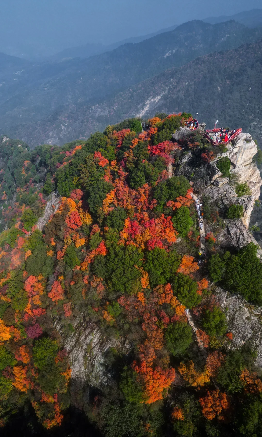 西安1h闯入油画世界🍂秦岭的红叶美到封神❗️