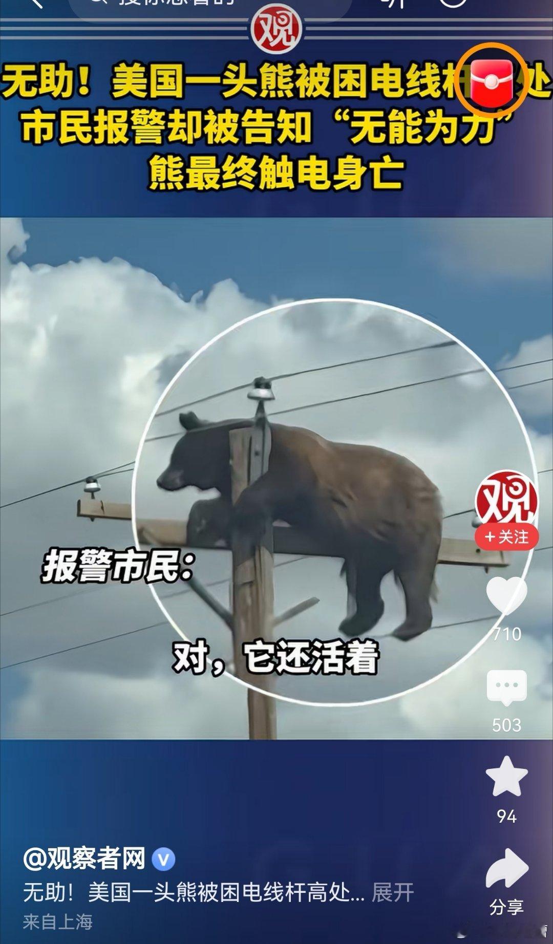 兄弟们，这对吗？美国一只熊困在电线杆上，报警后没人营救，最终被电死我记得美国的麻