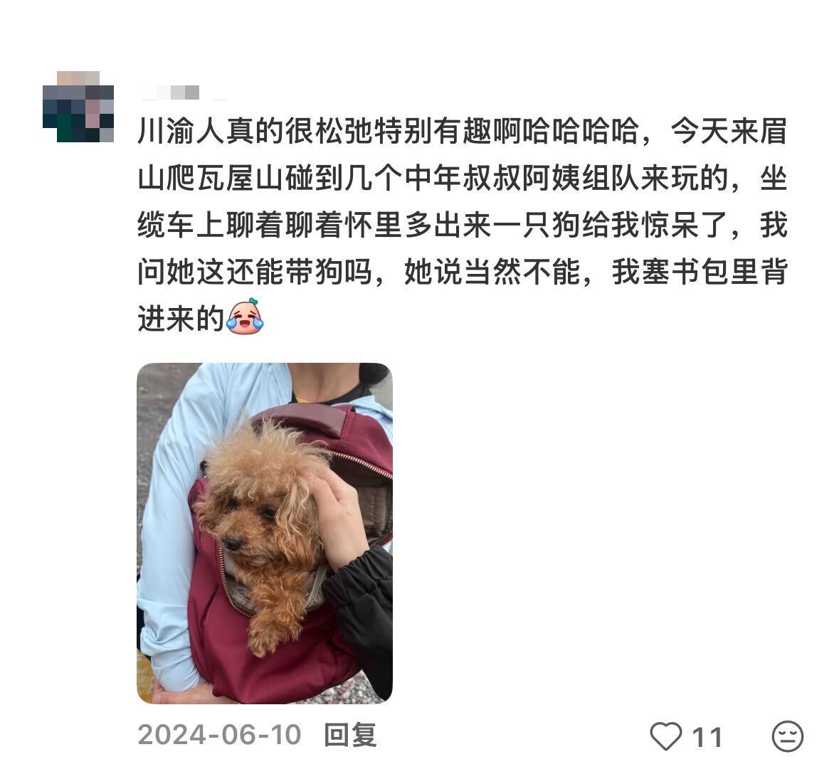 四川人到底有多松弛