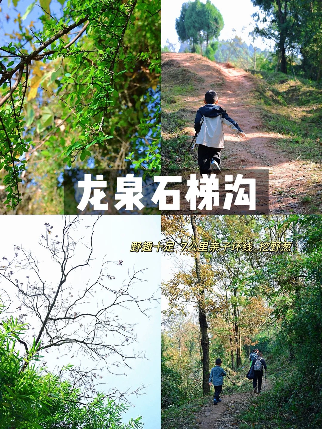 成都周边1h‼️秋日🍂亲子徒步龙泉石梯沟环线