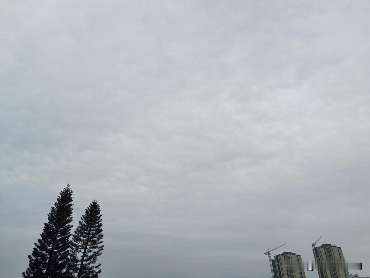 新一轮冷空气影响几何？广东1月最后一天冷空气冲业绩！今天（30日），广东大部