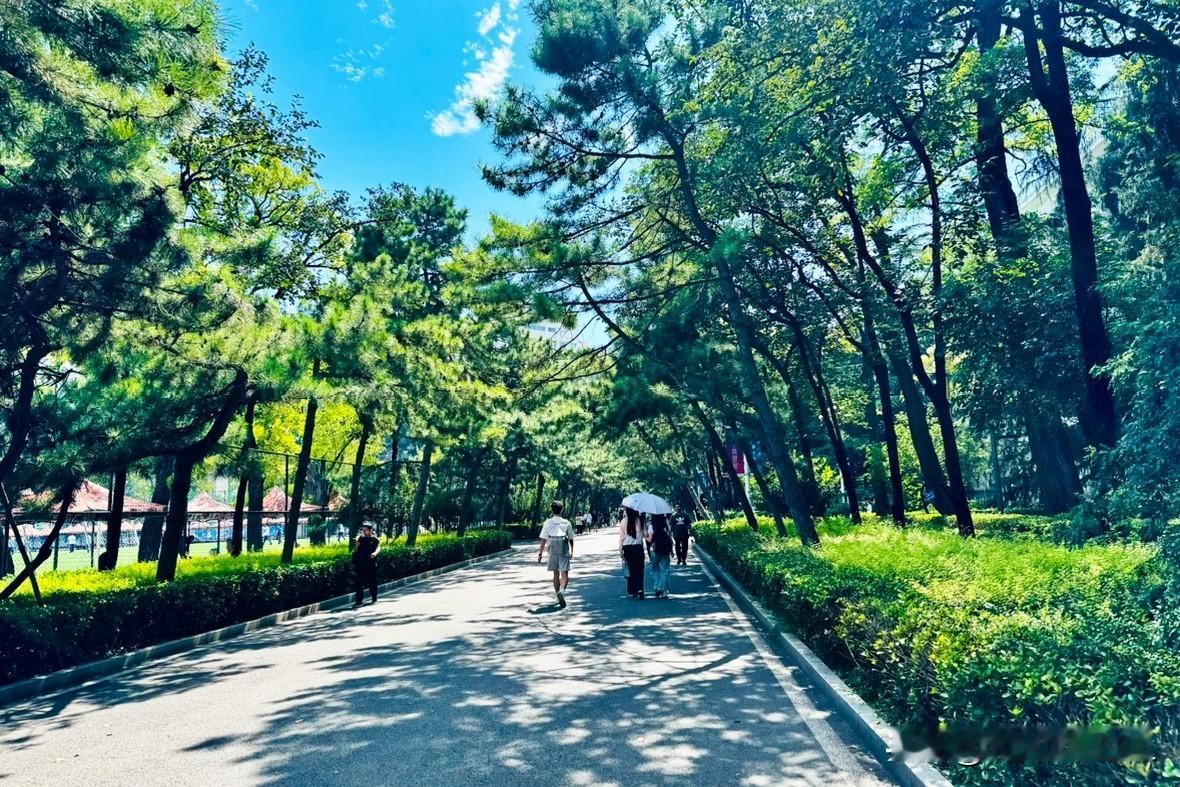 下一只莫森泰克值不值得申购？中秋小长假即将来临，今天申购完宇特光电后，9月2
