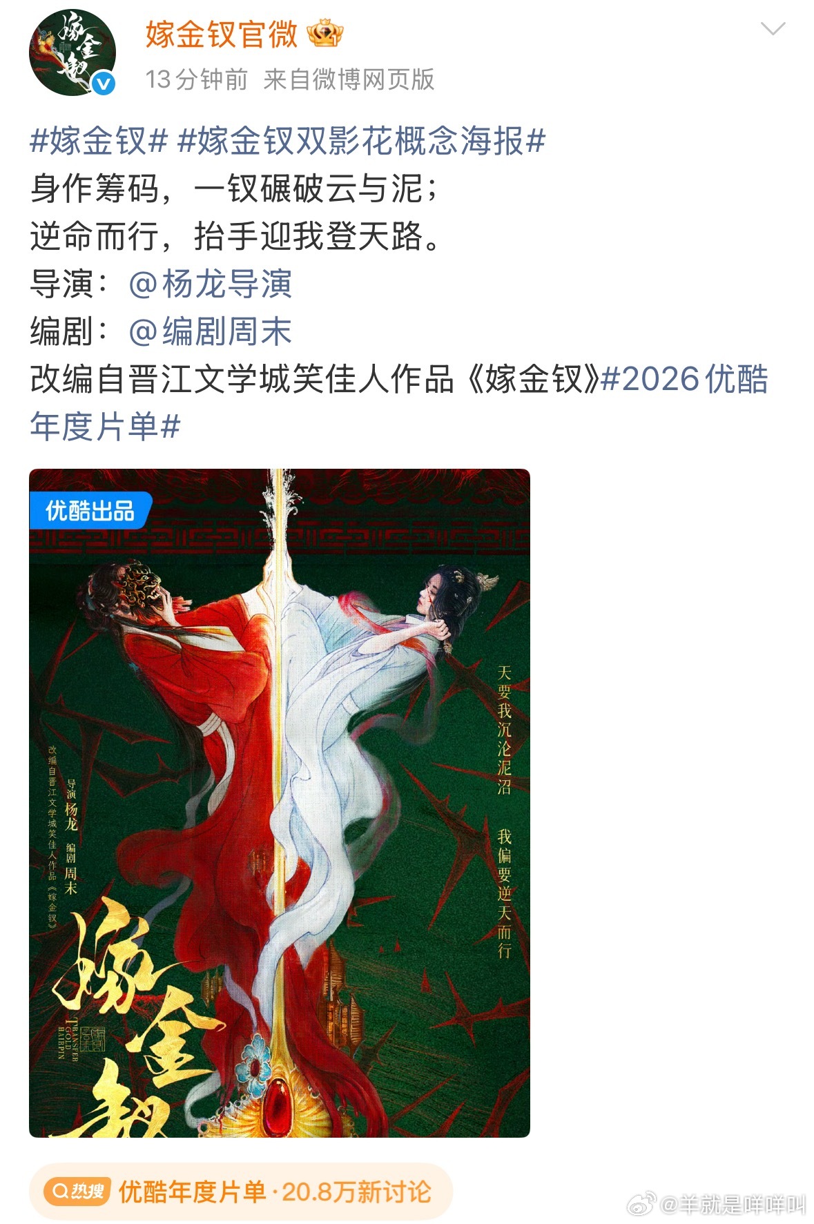 这个是双女主还是一人分饰两角？优酷年度片单​​​