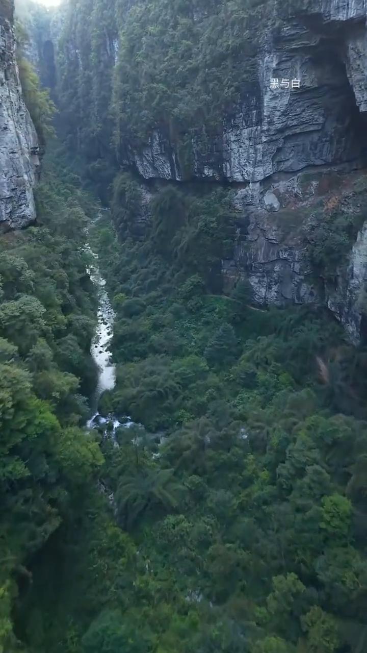 黑与白，通往何处？
