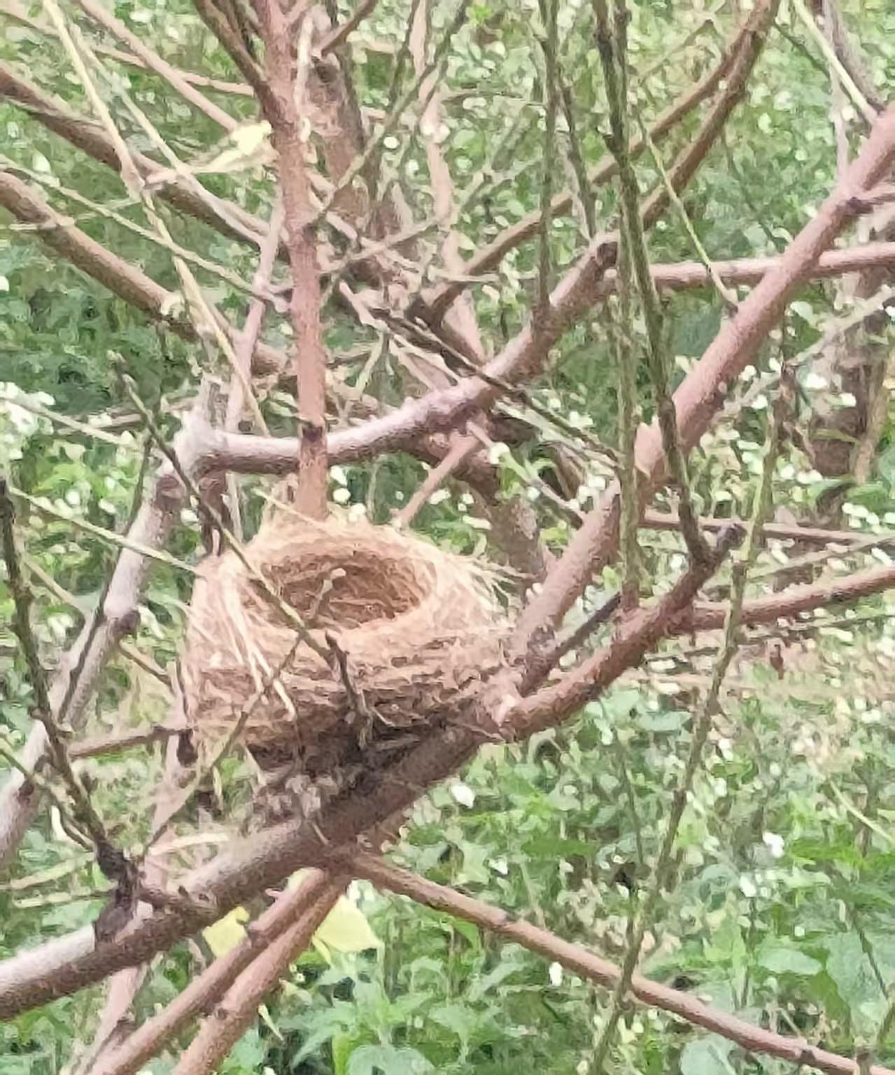 同学的女婿是大家眼里的好男人,同学的女儿非要离婚,同学的女儿抑郁症了,说生无可恋
