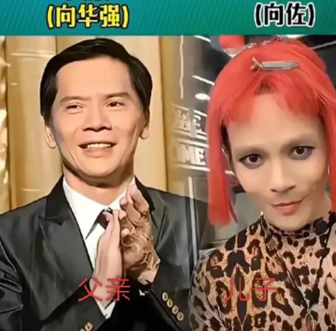 向华强的儿子——优秀徐少强的儿子——优秀袁小田的儿子——优秀刘礼的儿子——