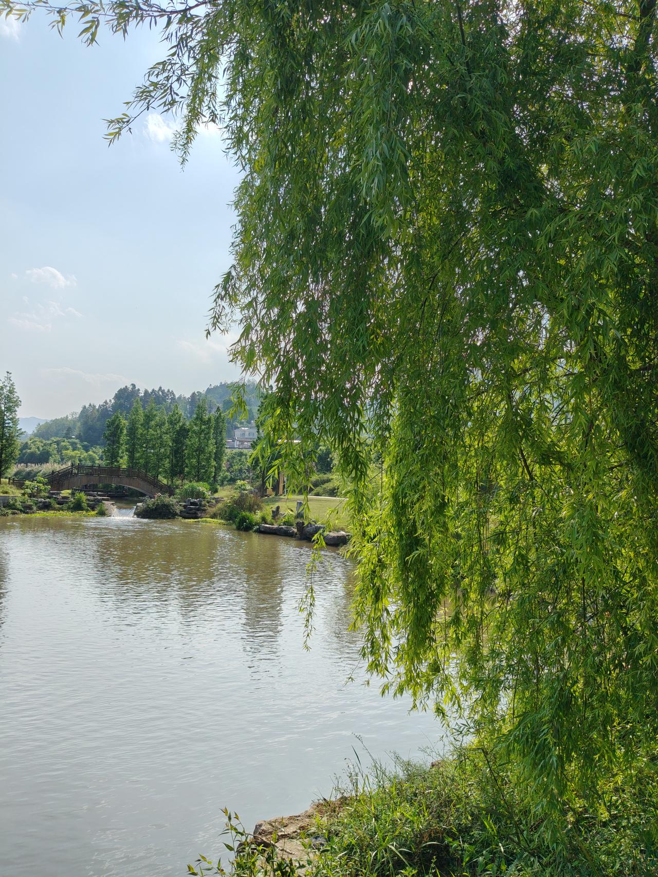 散户最致命的3个交易习惯？第一个，满仓干，什么时候都梭哈，一点现金都不留，结果等