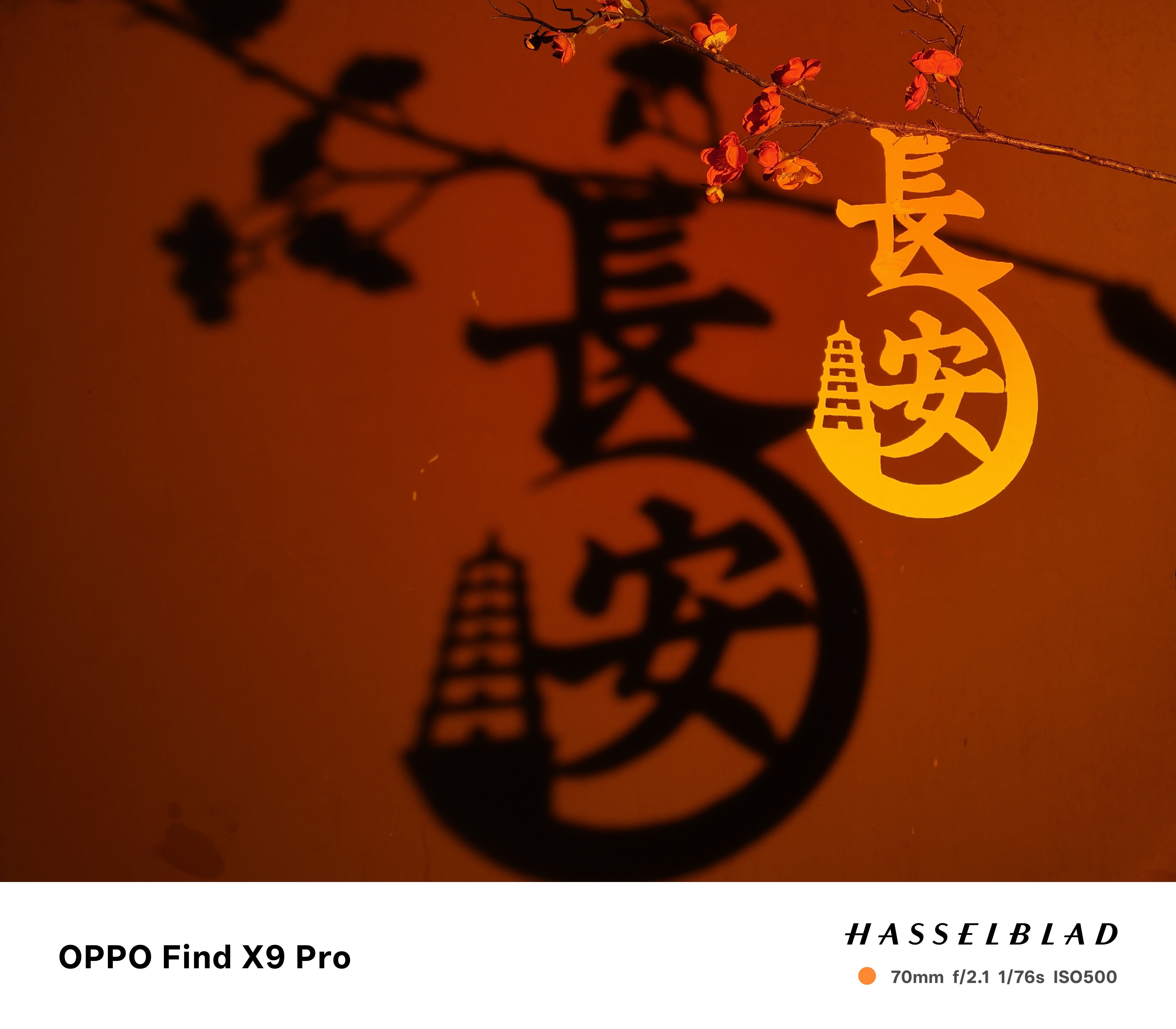 来西安怎么能不拍照呢，不得不说OPPOFindX9Pro夜景直出真的强