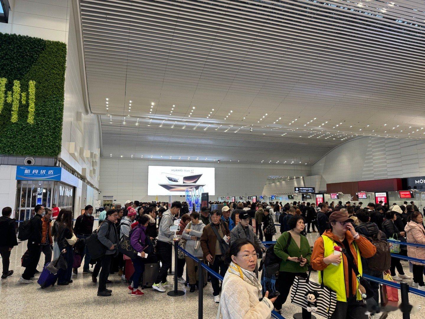 这一大早…机场人是不是过于多了