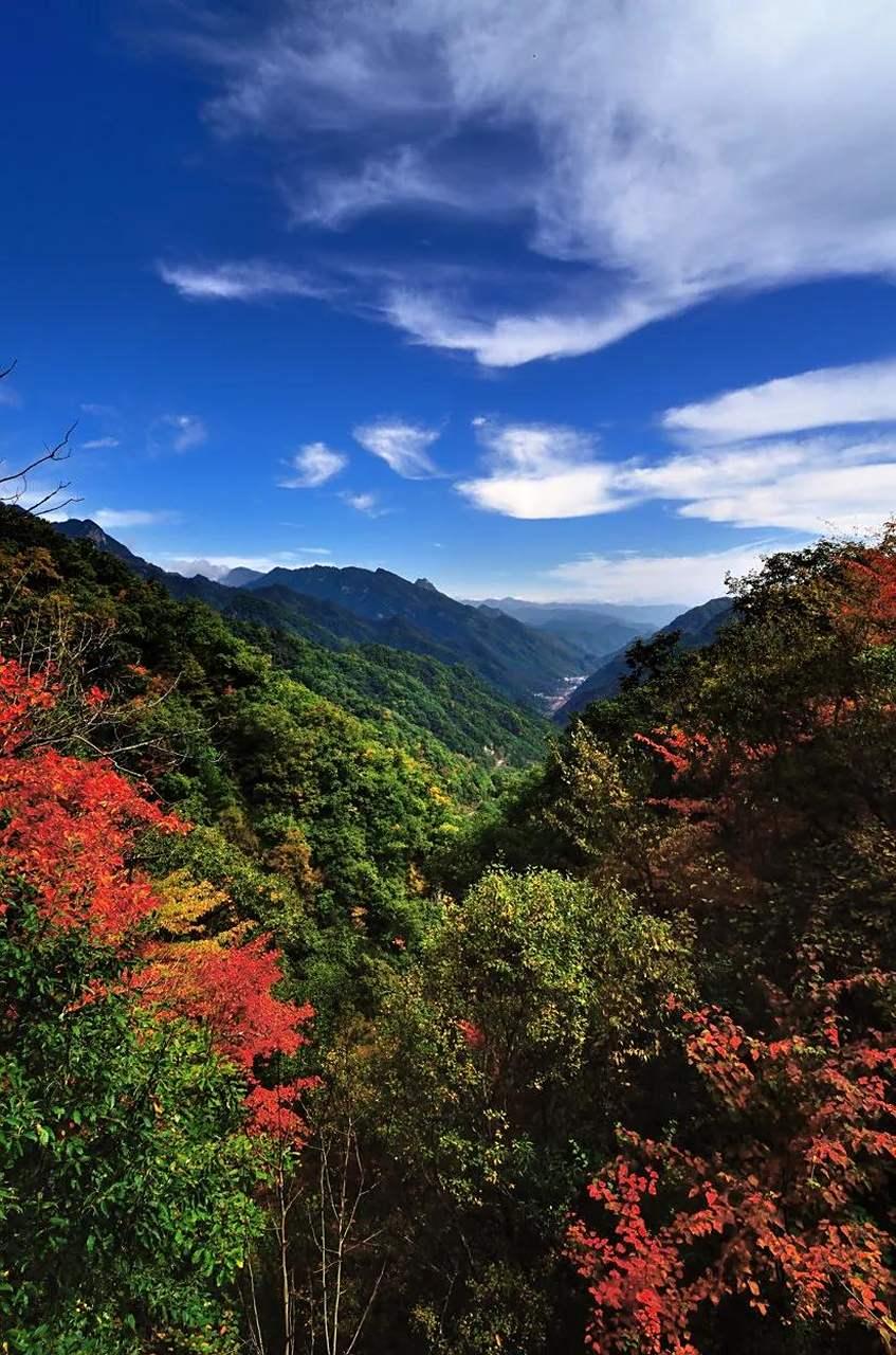 陕西留坝这个秦岭深处的小县城太牛了！总人口才4.2万，超90%县域被森林覆盖，县