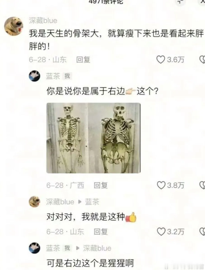 攻击性不大，侮辱性极强