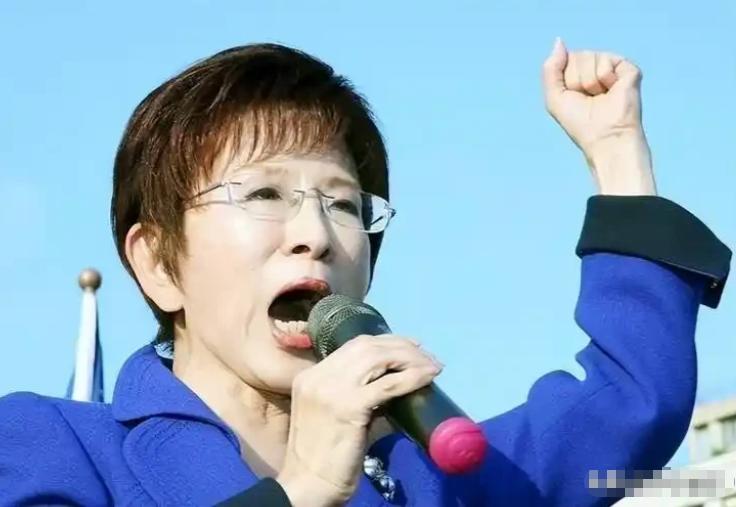 终于弄清楚了！某些人之所以不敢动洪秀柱，不是因为她是前主席，也不是因为有谁保护她