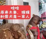 最近大红唇突然收敛了很多！应该是有点胆怯了，或者是收到了什么东西，前段时间