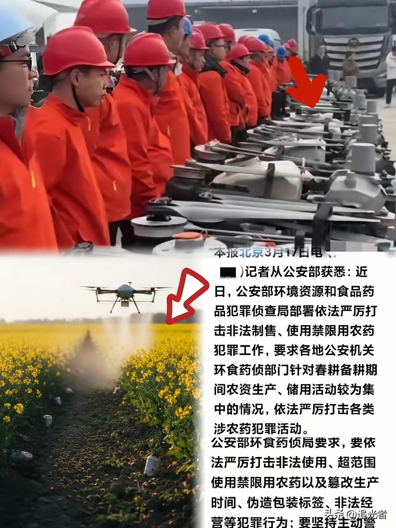 刷到条极其荒谬的新闻，简直把我看乐了！公安部突击严打涉农药犯罪，刀刃直指油菜花