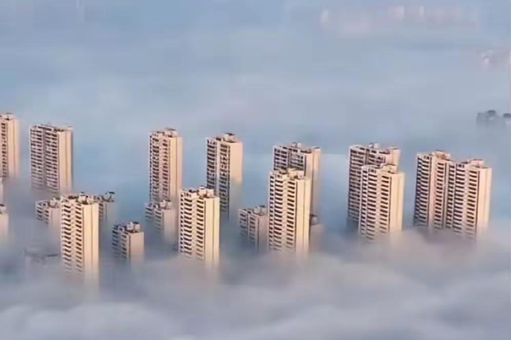 德国网友灵魂发问：世界两大“骗子国家”？真相太扎心！德国网友一句犀利