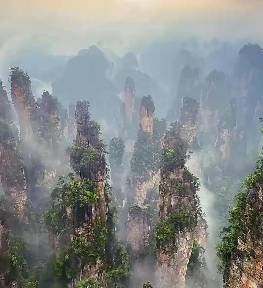好消息，知名的旅游景区张家界在8月8日至9月1日期间，会于周五至周日开通从重庆往