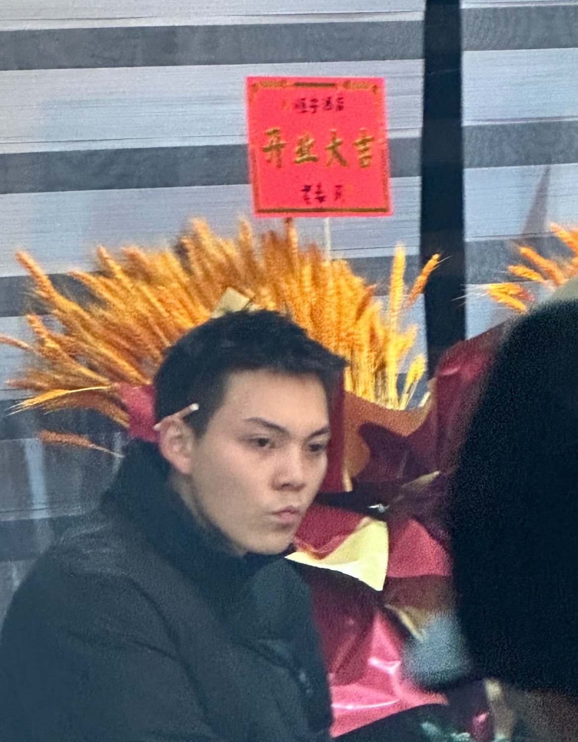 陈伟霆回村过年也要发呆