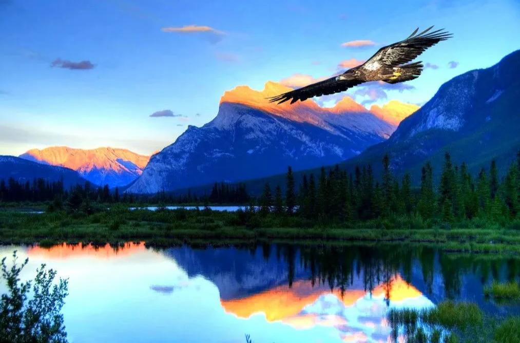 一位性学专家说:“夫妻之间玩的越BT，关系反而越深。你表现得礼貌、克制、正经，可