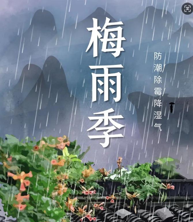 准备好了吗？江南湿哒哒黏糊糊的高温梅雨季来了！据气象预报，江南接下来将是高温天