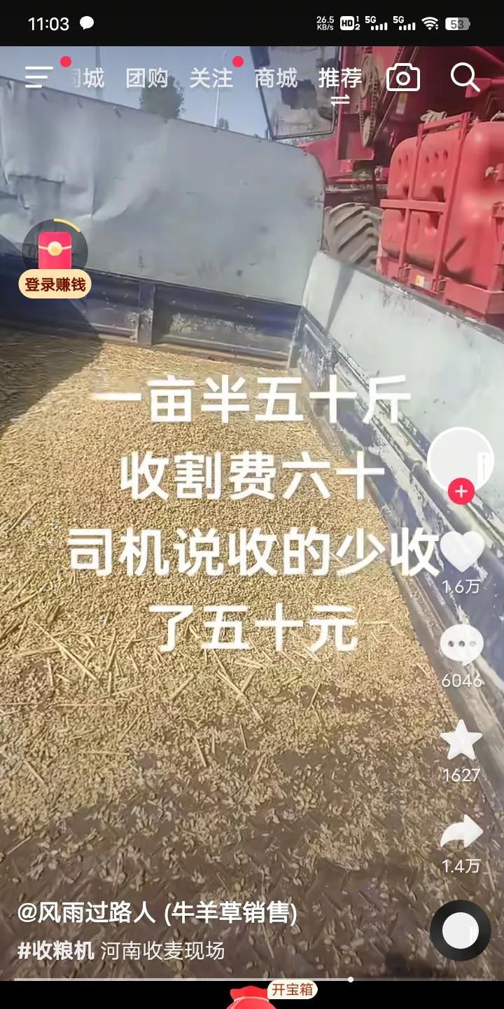 一亩半地仅收获五十斤小麦，在当今社会或许很多人都难以置信，可这是真实发生的。我们