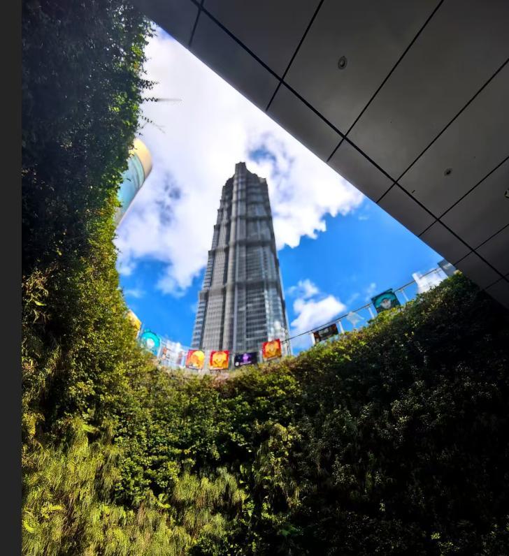 同事约我带着家人去甘南自驾游，说是到时候可以露营住帐篷。闻言，我果断拒绝了。同事