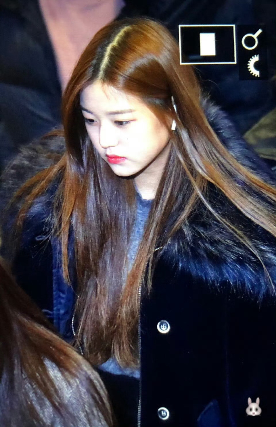 张元英苏感溢出的预览图