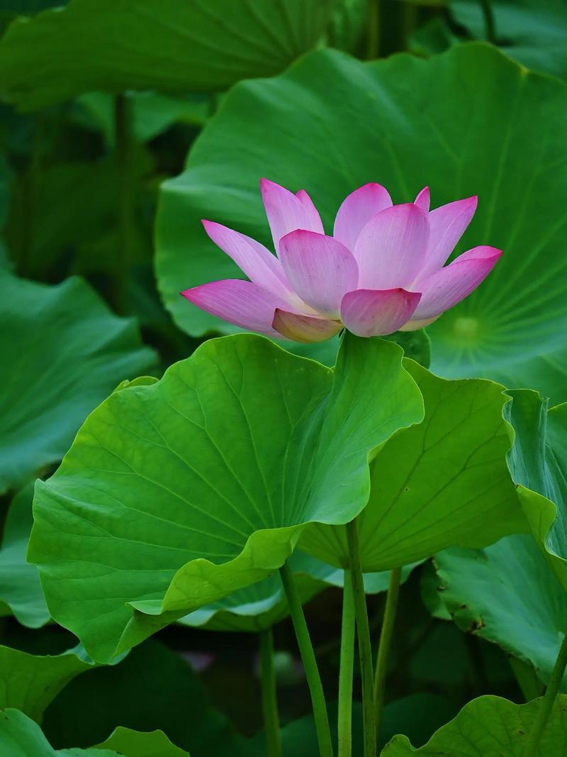 稍微老:下个月房贷怎么还？有点老：孩子叛逆了！有些老:累了，下次吧！比较老