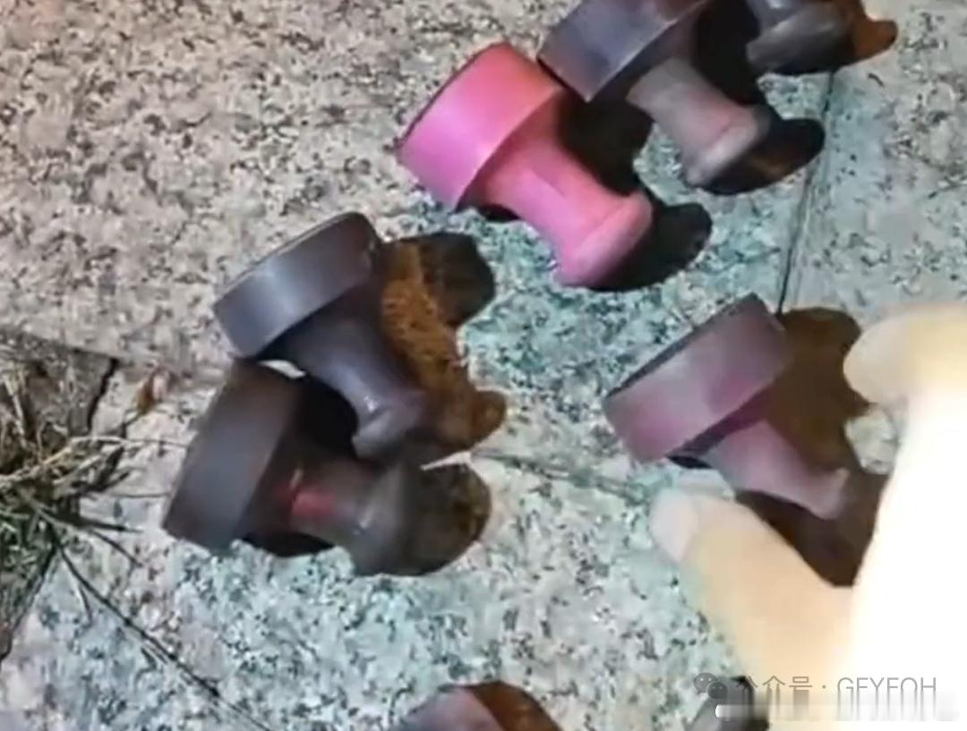 钓鱼钓到机关公章或为私刻扬州男子夜钓钓上一袋疑似公章，第一时间报警上交。据业内消