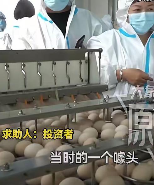 6月5日，河北邯郸出现一起以“免费吃鸡蛋”为噱头的投资骗局。多名投资者