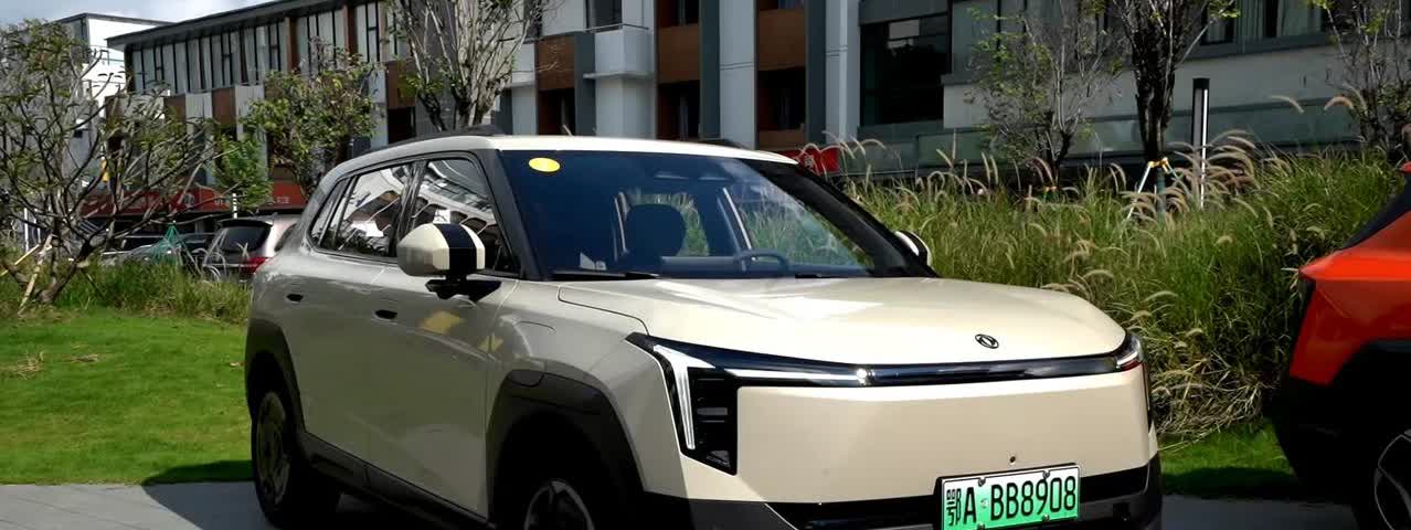 2025年买车绝招！1、插电混动车：选比亚迪2、油电混动车：选丰