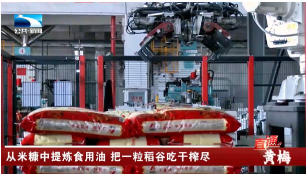 中国每年加工稻谷约两亿吨，产生米糠超过一千万吨。过去，这些米糠几乎全喂了猪。但就