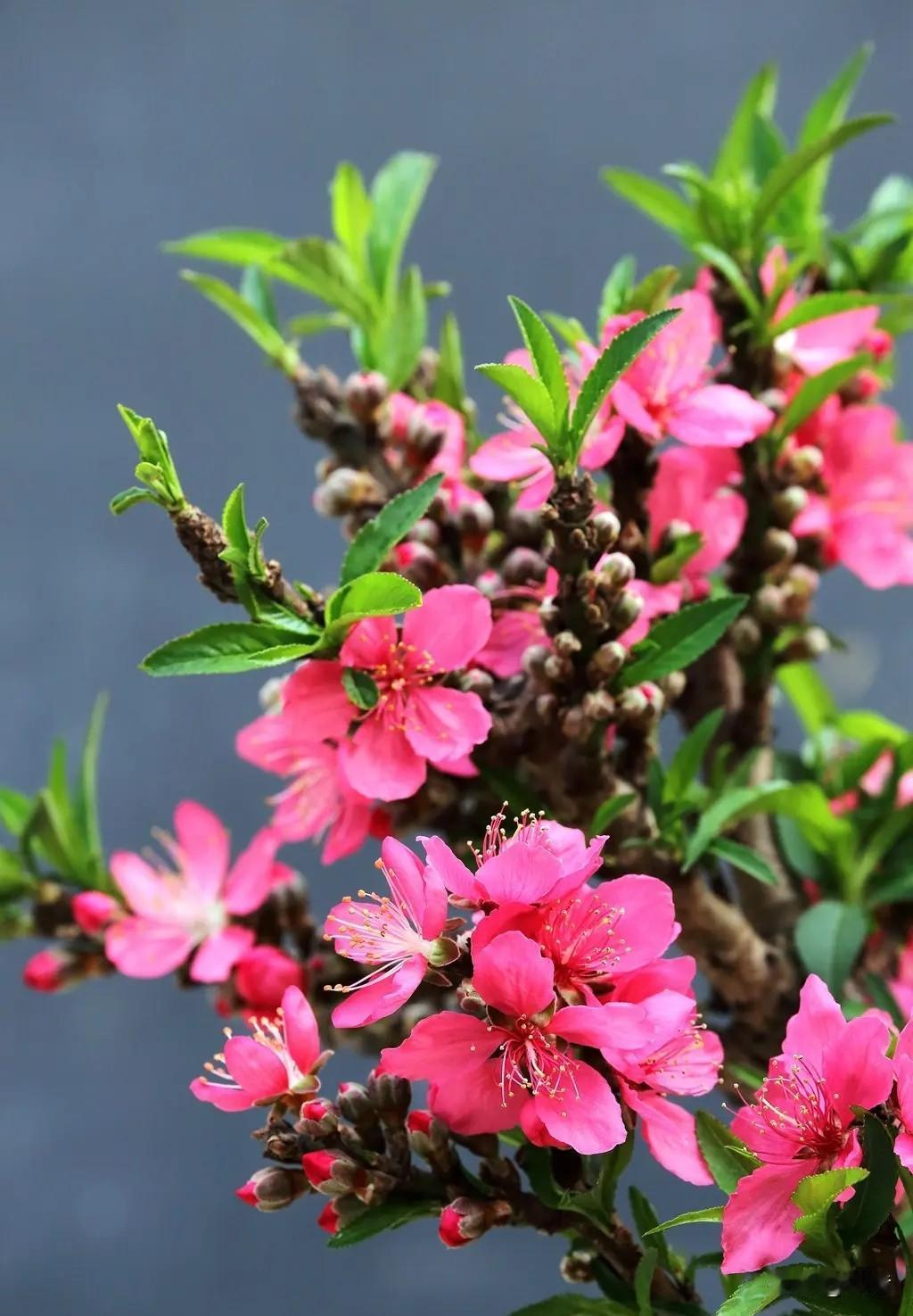 夫妻本是同林鸟！大难临头各自飞。兄弟的老婆坚持了二年，现如今她主动提出离