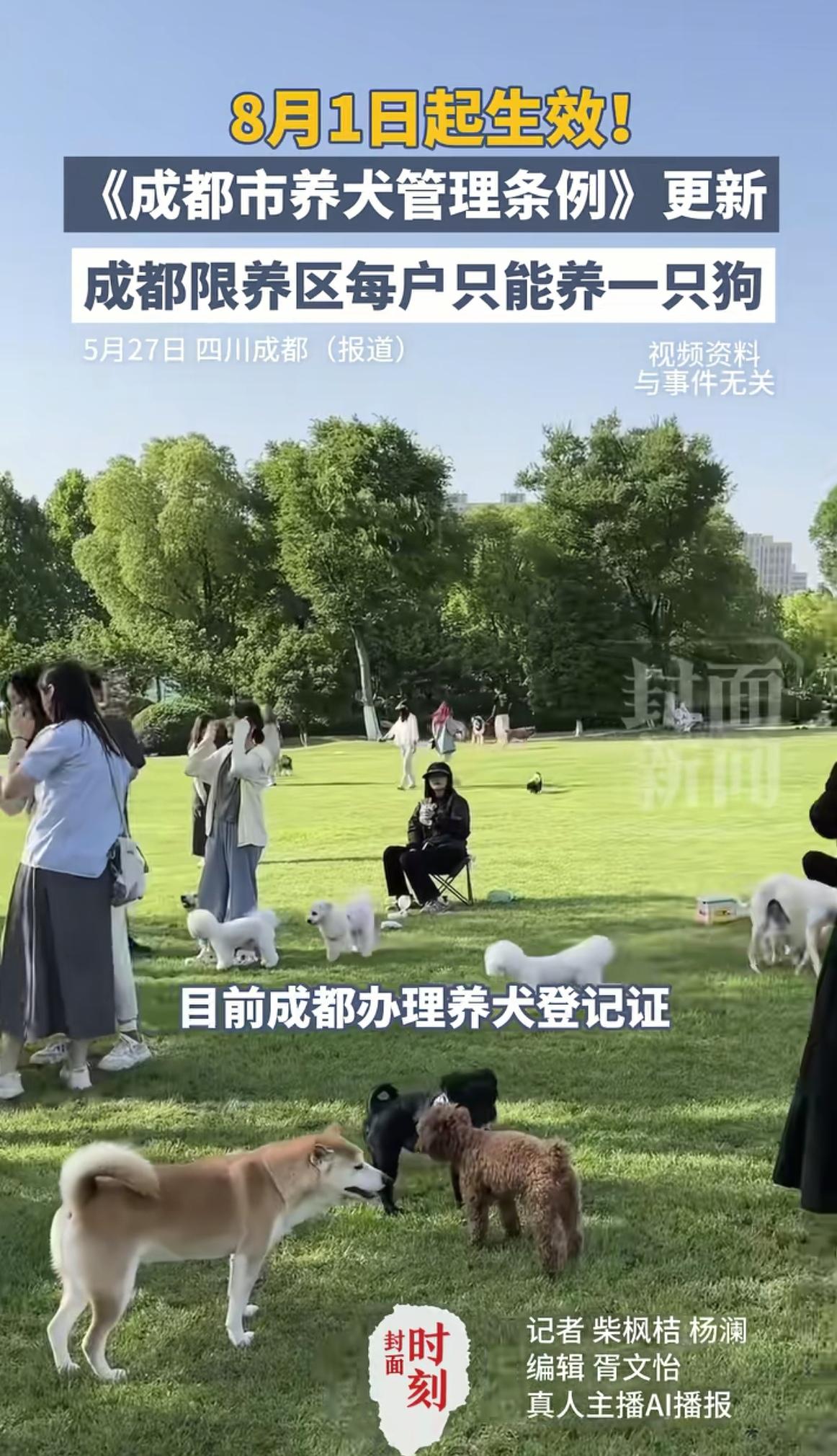 天啊，成都的铲屎官们注意了，《成都市养犬管理条例》8月1日起开始实施，以后遛