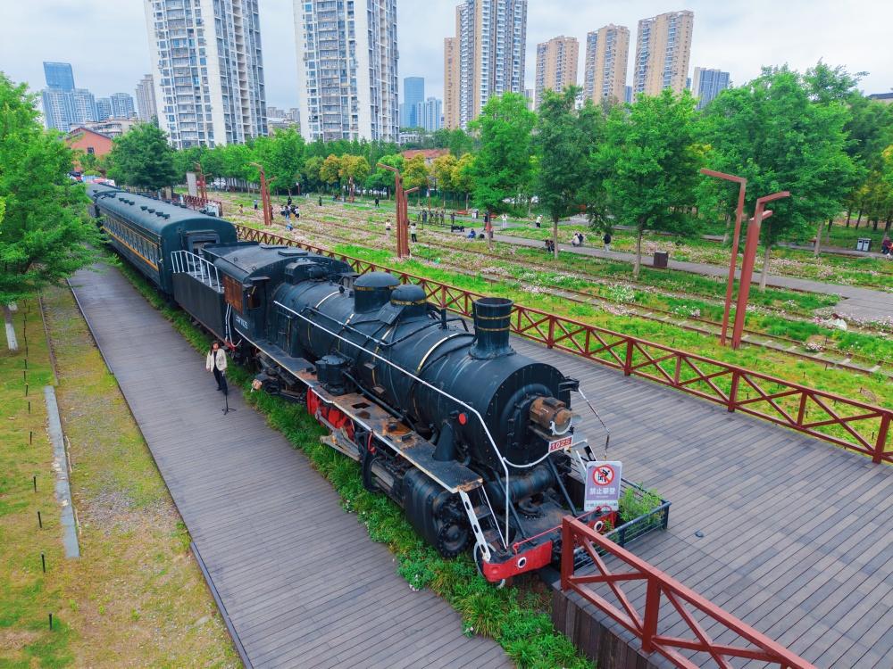 【铁路月见草盛放成网红打卡地】武昌生态文化长廊由老武九铁路改建而成，串联起武昌江