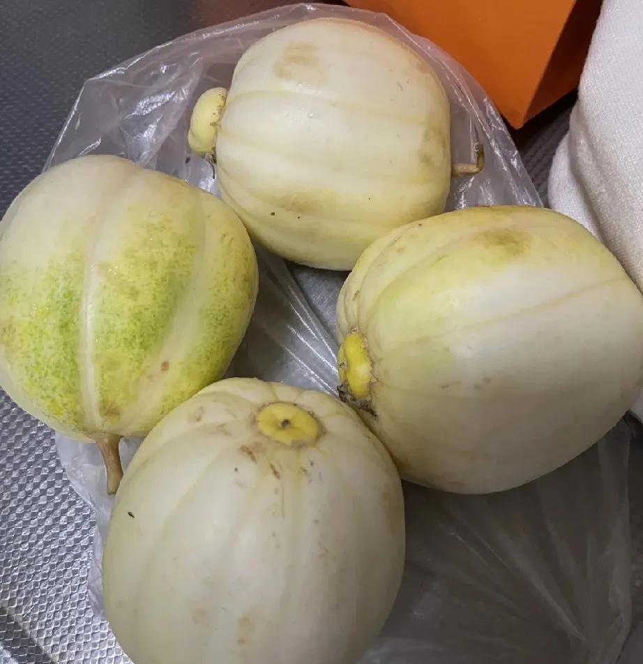 香瓜是东北人对夏天的执念。10年前和老公回东北老家，第一次吃的这个瓜，简直太好