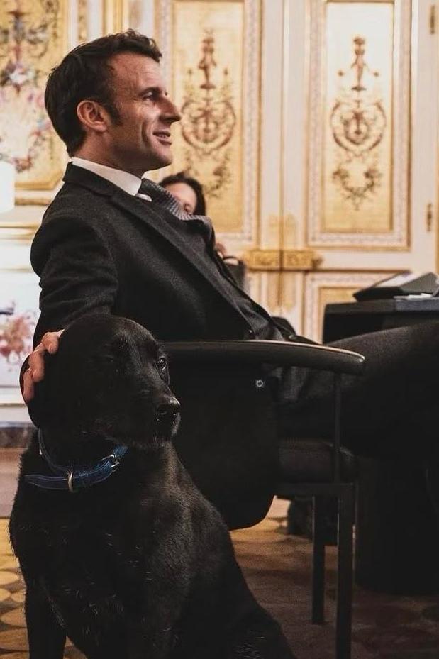 法国总统马克龙发表迄今为止对特朗普政府最严厉的斥责！没有了以往跨大西洋盟友间