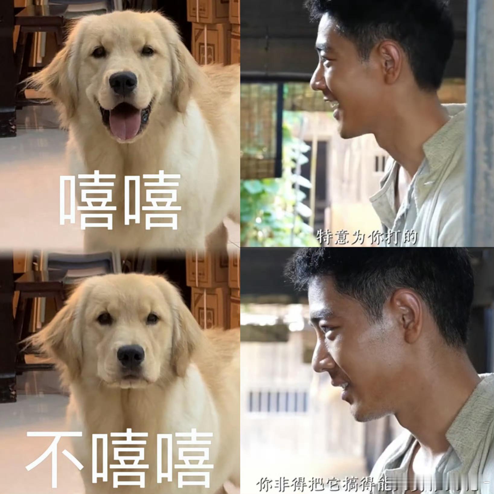 笑死我了这个莫得闲前一秒还在为自己的技术骄傲自信呢下一秒就被怼成怂怂包了啊啊