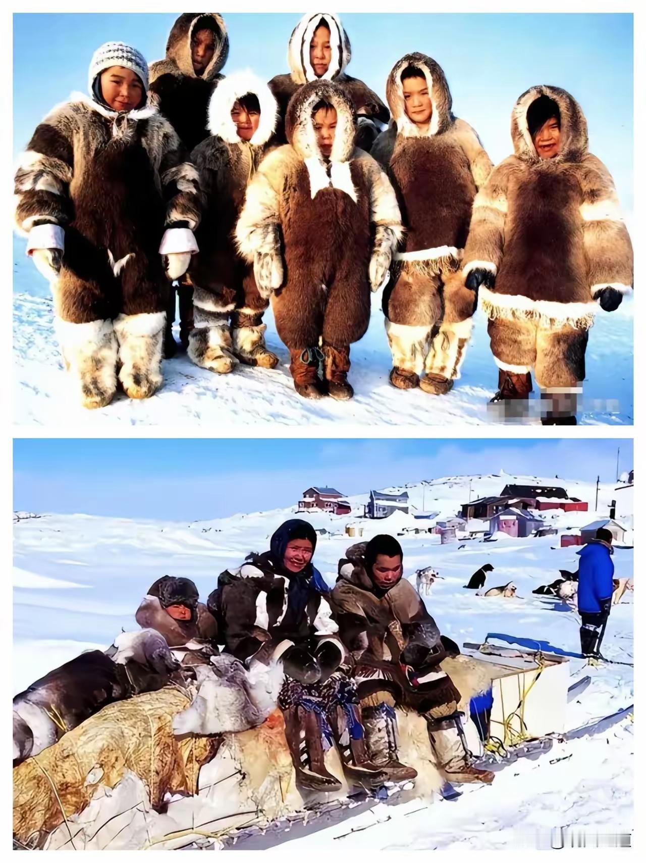 格陵兰岛的因纽特人，跟咱们一样是黄皮肤黑眼珠，说出来你可能不信——基因检测说，咱